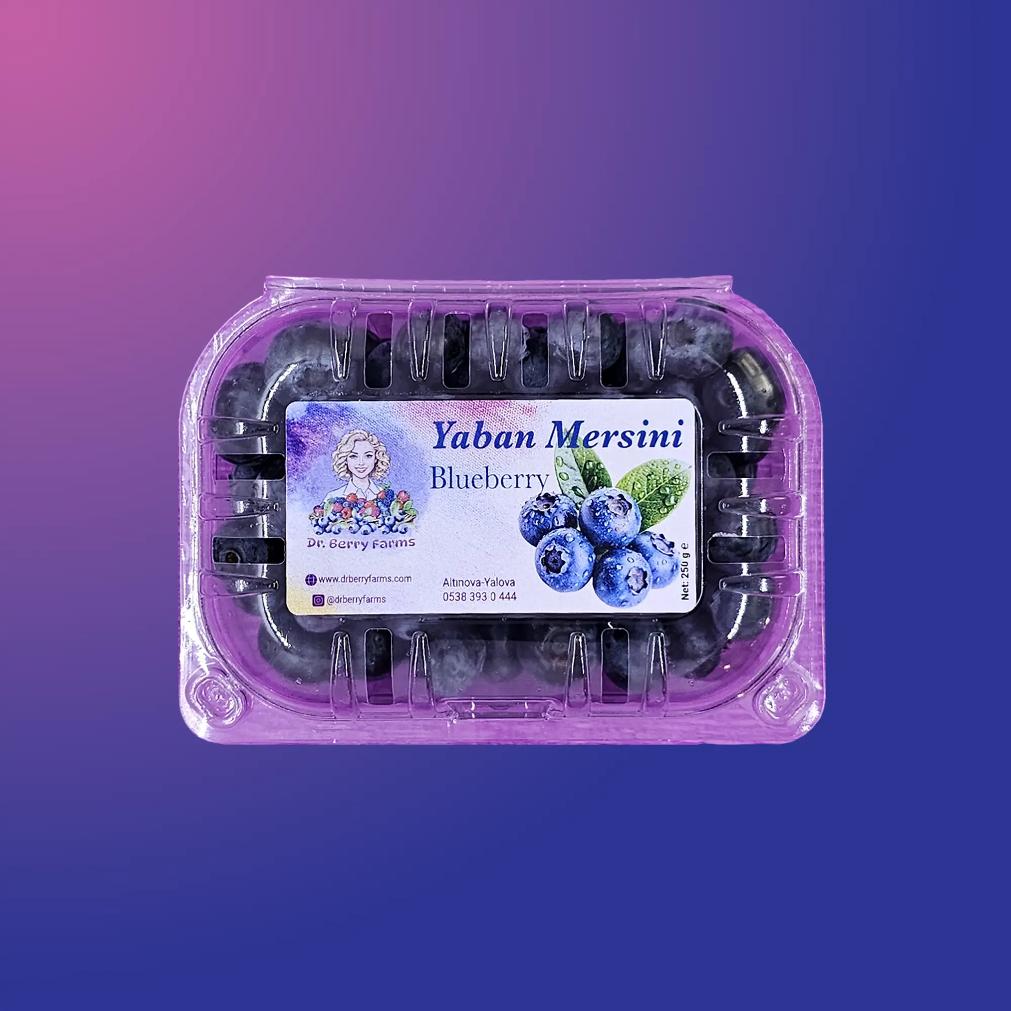 Taze Yaban Mersini - 250 Gr