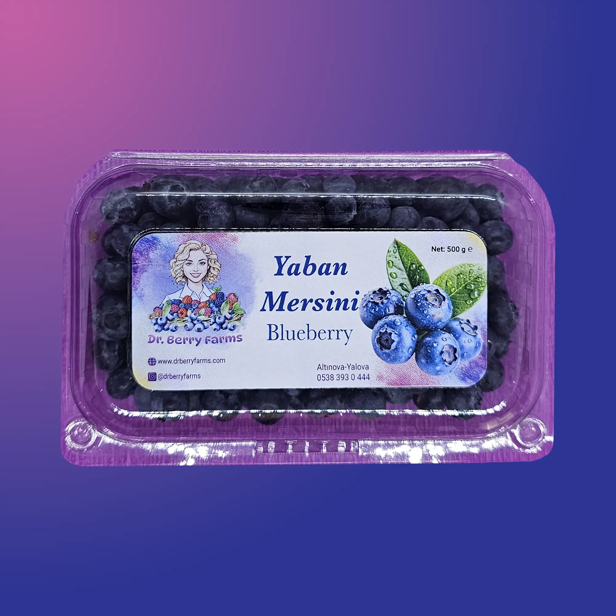 Taze Yaban Mersini - 500 Gr